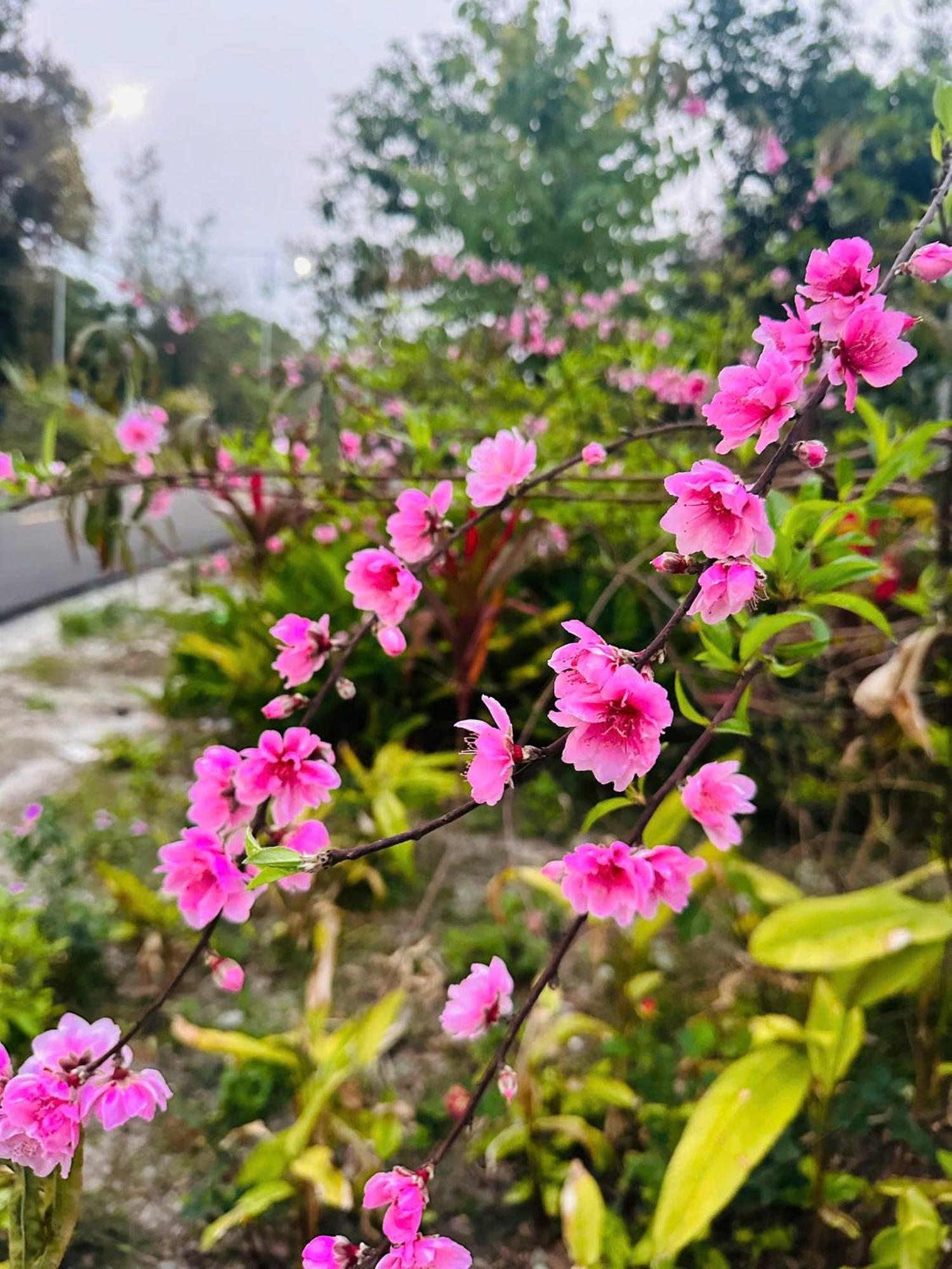 明洲海滩度假村 广宁 外观 照片