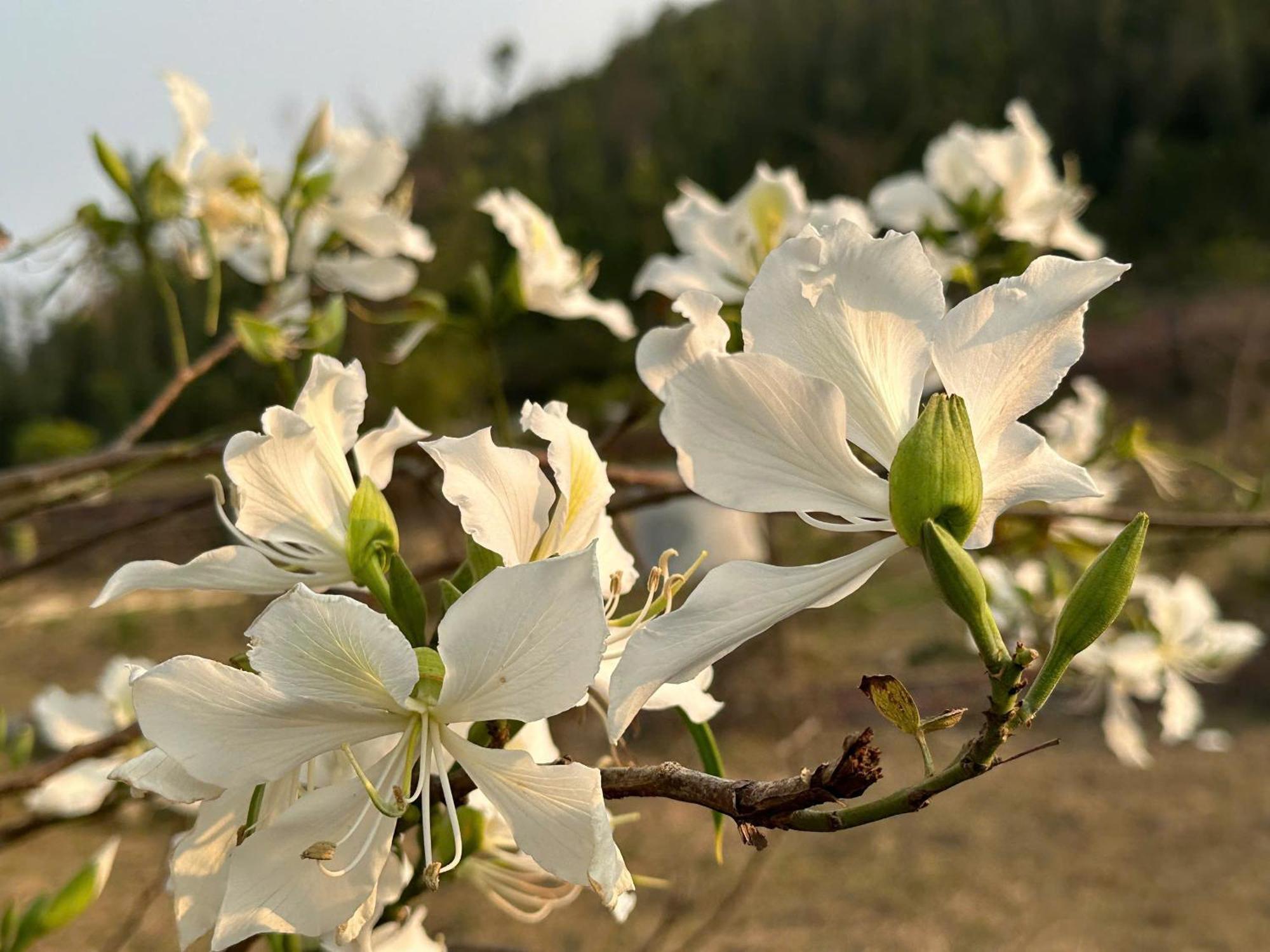 明洲海滩度假村 广宁 外观 照片
