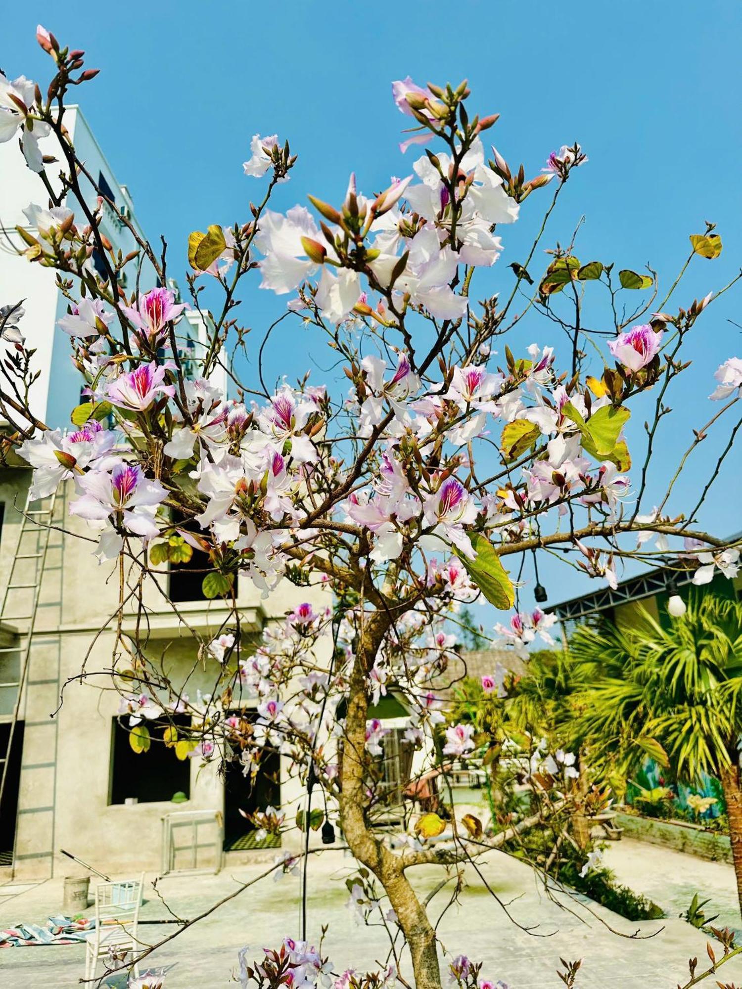 明洲海滩度假村 广宁 外观 照片